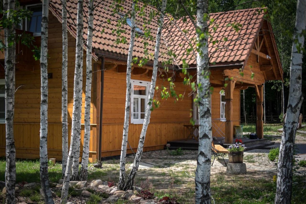 Bed and Breakfast Miodowa Kolonia Białowieża Exterior foto
